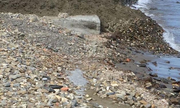 Il Comune di Diano Marina stanzia 30 mila euro a GM per la sabbia sulle spiagge private. Niente per quelle libere?