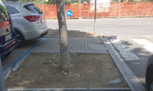 Lettera aperta di una dianese alla Giunta comunale di Diano Marina: “Pochi parcheggi per i disabili”