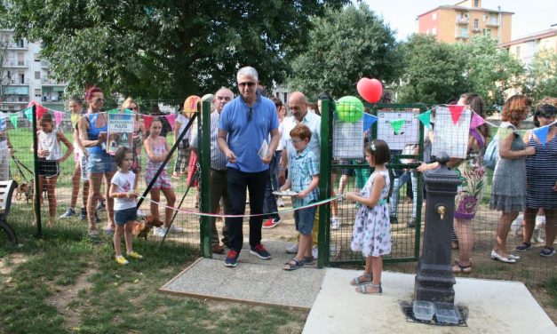 Nuove aree cani ad Alessandria, l’appello di Barosini: ‘Facciamo squadra per la loro realizzazione’