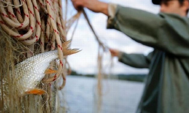 Il fermo pesca in Liguria arriverà ad Ottobre