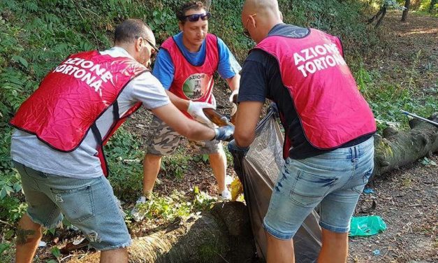 Degrado al Parco del Lavello, Azione Tortona lo ripulisce. Per ora è a posto