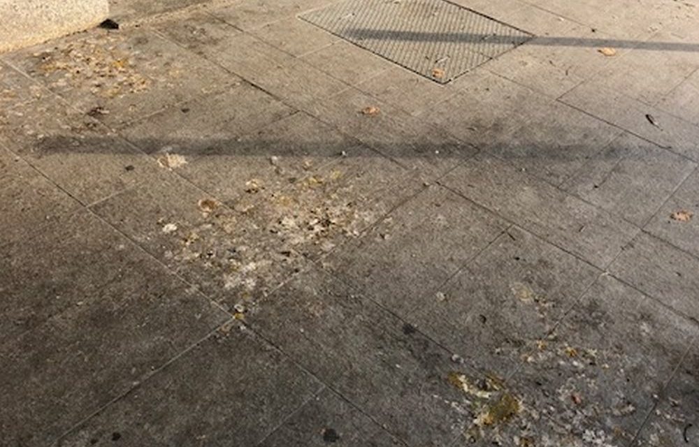 Tanto guano di piccione davanti all’ingresso della stazione di Tortona