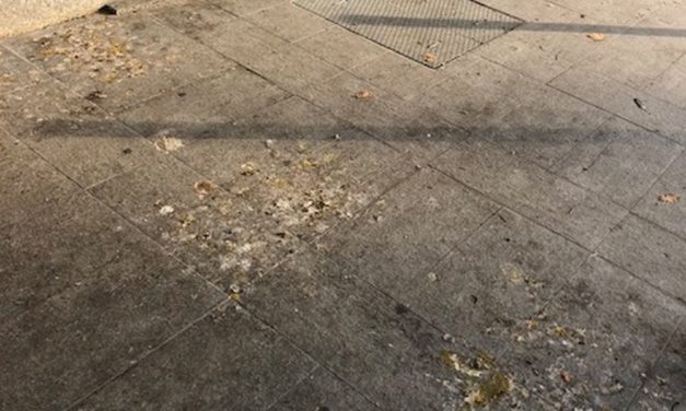 Tanto guano di piccione davanti all’ingresso della stazione di Tortona