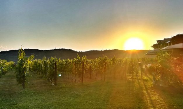 In Monferrato il turismo diventa esperienziale