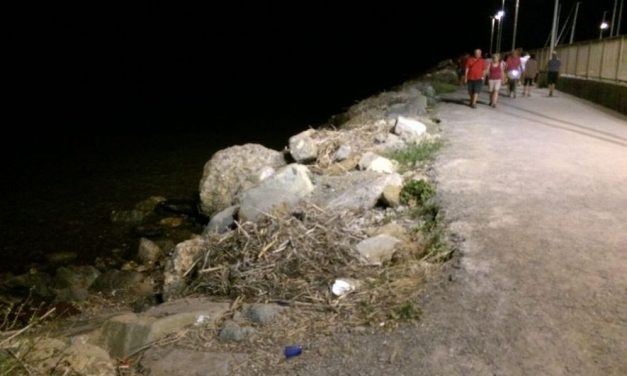 La vergogna della passeggiata al faro di Diano Marina: canne secche, erbacce e disordine. Ripulirla no?