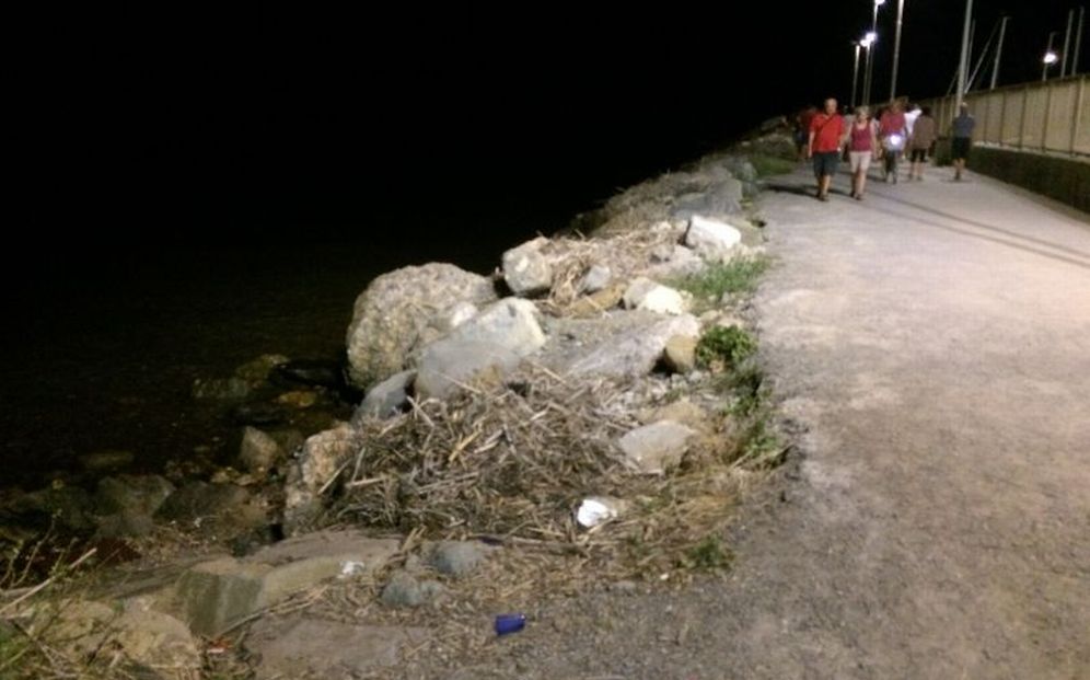 La vergogna della passeggiata al faro di Diano Marina: canne secche, erbacce e disordine. Ripulirla no?