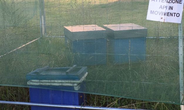 Sul castello di Tortona una postazione di api per difendere l’ambiente