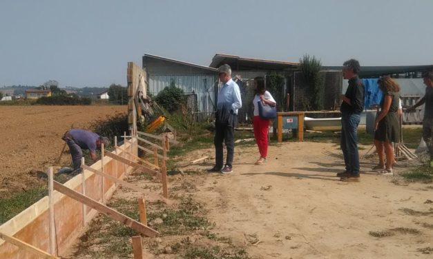 Alessandria, ‘Festa a 4 zampe’ a Cascina Rosa Domenica 23 settembre