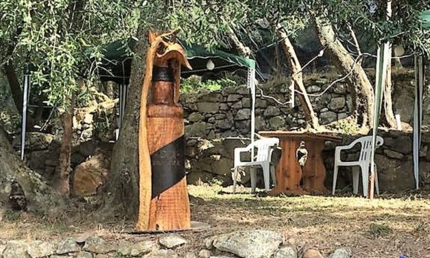 Iniziato a Badalucco il Simposio di scultura nel legno d’ulivo