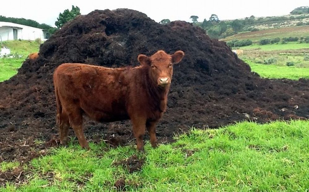 Azienda agricola di Tortona sparge troppo compost e intervengono i Vigili: ecco da dove venivano i miasmi