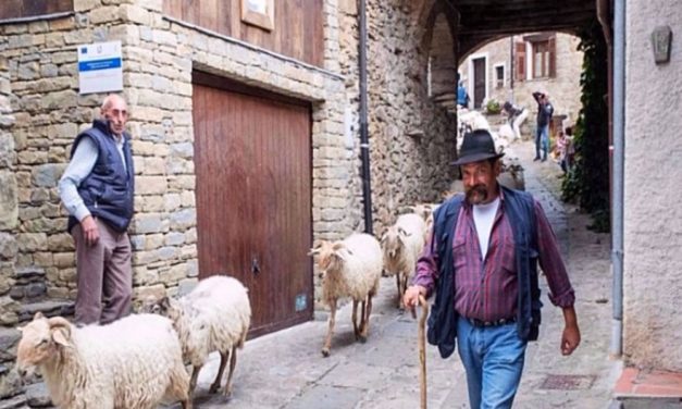 A Mendatica torna la festa della Transumanza