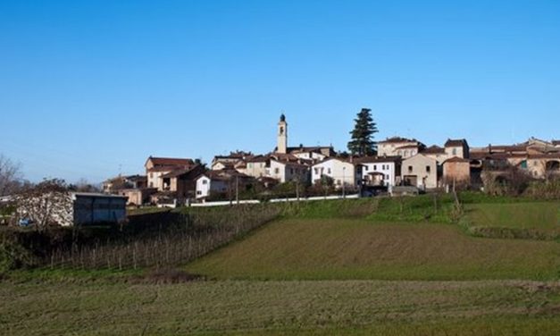 A Villaromagnano un serpente entra in una casa mettendo paura agli abitanti