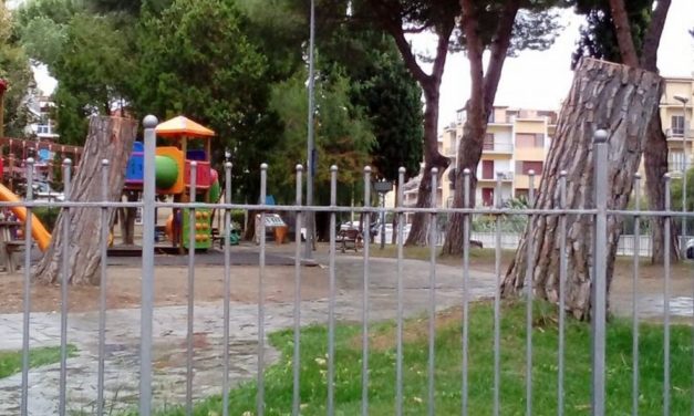 A Diano Marina nasce un Comitato per la tutela del verde per evitare altri tagli come questi