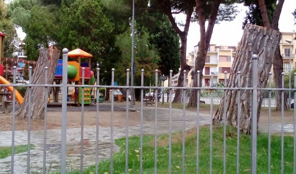 A Diano Marina nasce un Comitato per la tutela del verde per evitare altri tagli come questi