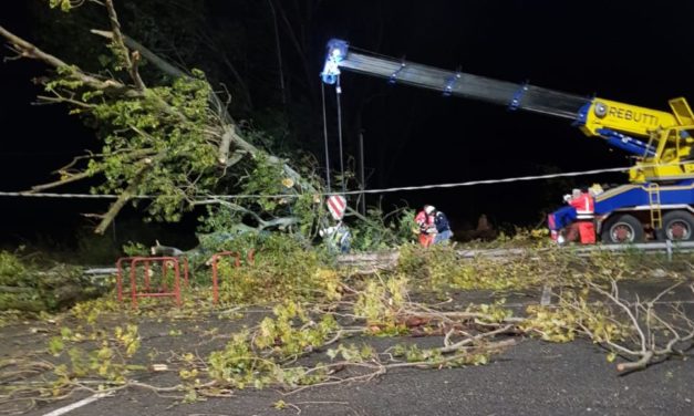 Tanti interventi dei Vigili Urbani e della protezione Civile di Tortona contro il maltempo