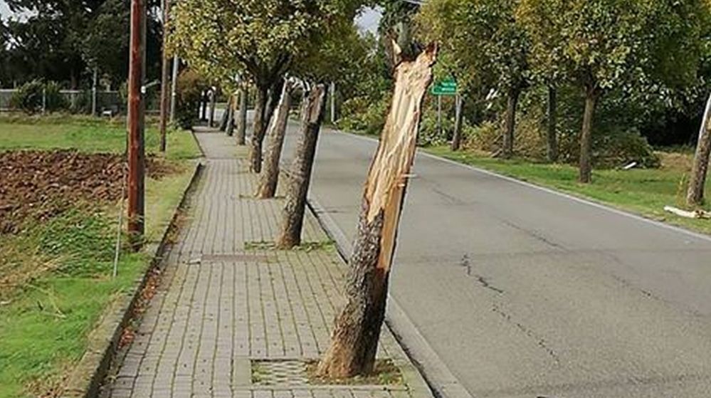 I danni provocati dal maltempo a Casalnoceto nelle immagini di Daniele Cebrelli