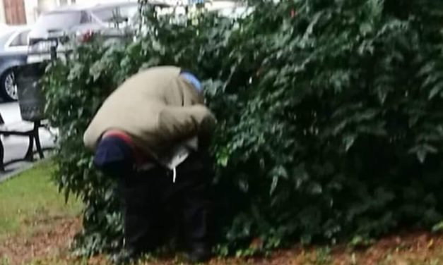 I giardini davanti all’ospedale di Tortona usati come gabinetti pubblici