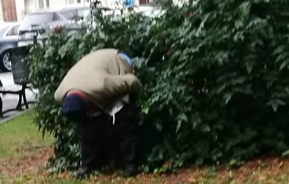 I giardini davanti all’ospedale di Tortona usati come gabinetti pubblici