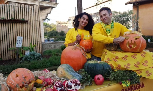 Golose zucche a chilometro zero per la festa di Halloween prodotte a Sale e Castellazzo Bormida