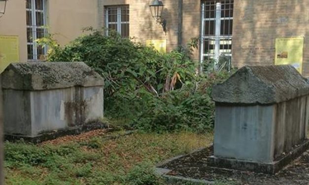 Cortile del museo di Tortona pieno di erbacce, il Comune interviene