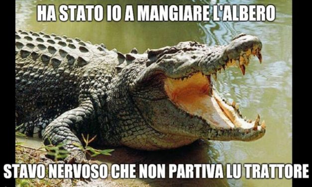 La Cronaca degli orrori: il Coccodrillo continua ad imperversare a Castelnuovo Scrivia. ma ci sarà davvero?