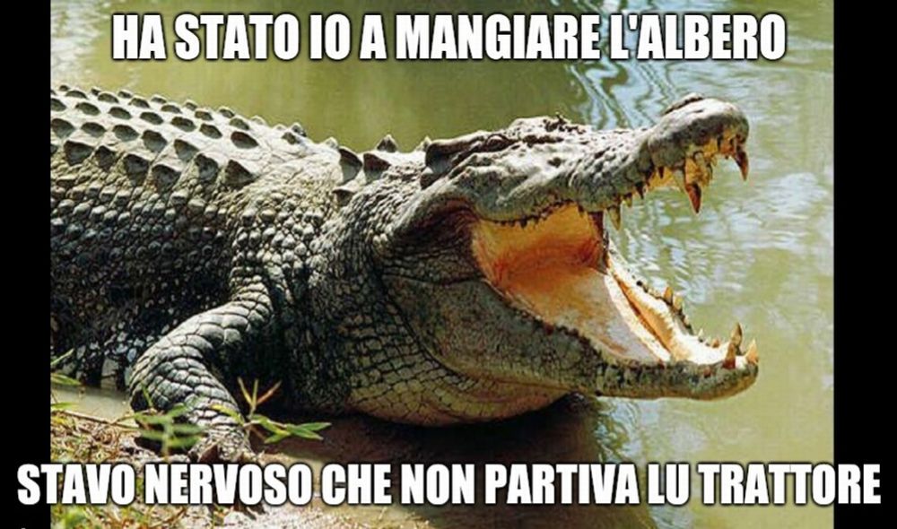 La Cronaca degli orrori: il Coccodrillo continua ad imperversare a Castelnuovo Scrivia. ma ci sarà davvero?
