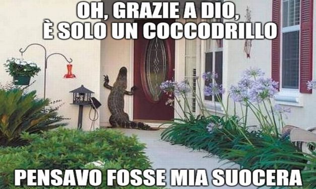 La cronaca degli orrori: un coccodrillo a Castelnuovo Scrivia? Forse c’è di peggio……
