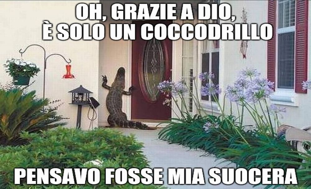 La cronaca degli orrori: un coccodrillo a Castelnuovo Scrivia? Forse c’è di peggio……