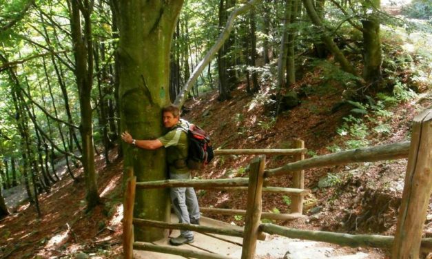 Con La Pietra Verde alla scoperta del “forest bathing”, reportage di una giornata straordinaria