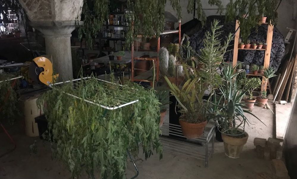 Aveva trasformato il seminterrato di casa in una piantagione di droga, arrestato ad Acqui Terme