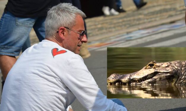 Un coccodrillo a Castelnuovo Scrivia? Il Sindaco: “Denuncia ai Vigili, avvisata la Forestale, posti cartelli, nessuna impronta”