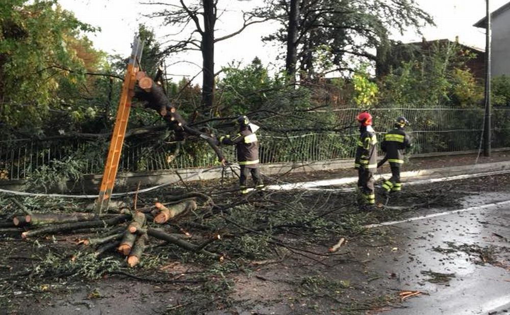 A Castelnuovo Scrivia albero caduto e un cavo elettrico tranciato