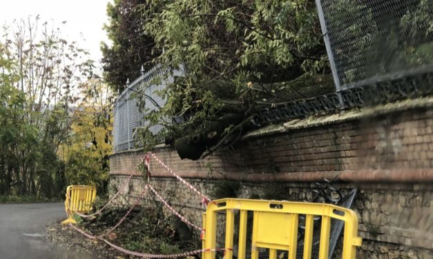 Alcuni problemi irrisolti a Spineto Scrivia segnalati da un lettore