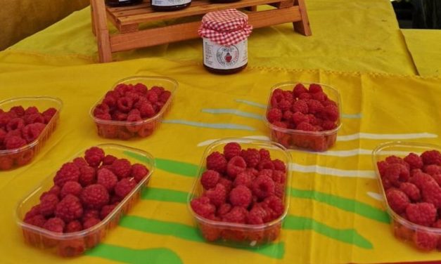 A San Bartolomeo è iniziato l’Autunno con gusto