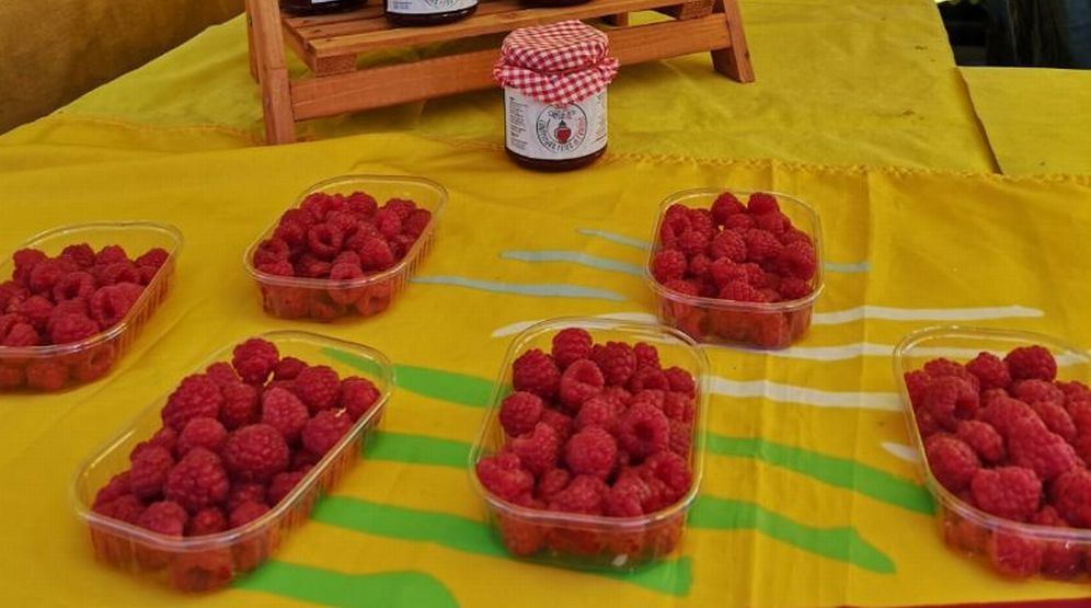 A San Bartolomeo è iniziato l’Autunno con gusto