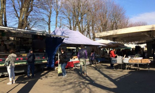 Al mercato di Tortona un giovane chiede l’elemosina con insistenza e la padrona del banchetto lo caccia mentre arrivano i Vigili Urbani