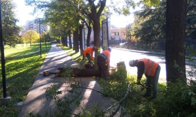 Segnalazione fatta in tarda mattinata al Comune di Tortona e dopo poche ore risolto tutto