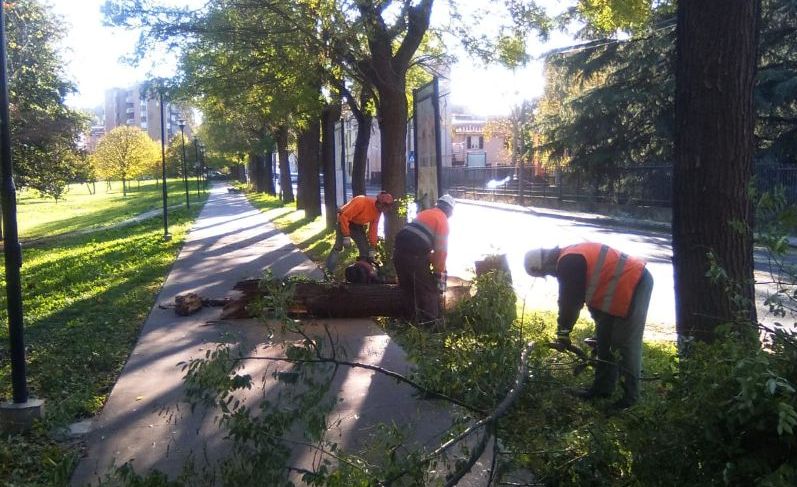 Segnalazione fatta in tarda mattinata al Comune di Tortona e dopo poche ore risolto tutto
