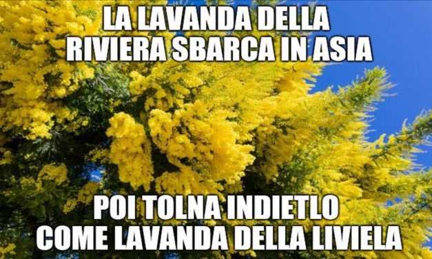 La Cronaca degli orrori: La lavanda della Riviera va in Cina viola e ritorna gialla?