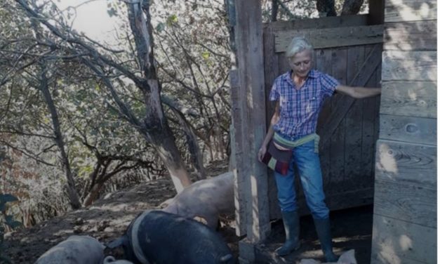 Paola Finetti di Volpedo, martedì va in Campidoglio a Roma per ricevere un prestigioso premio