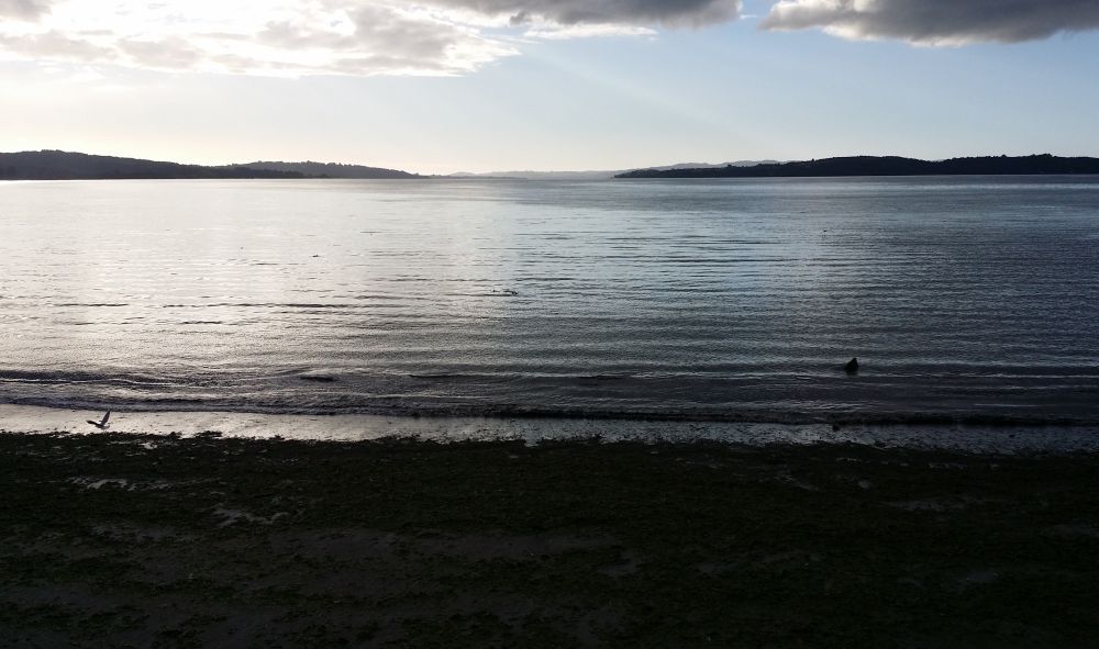 Viaggiareoggi: reportage dal Cile del nostro collaboratore Maurizio Priano. Prima parte