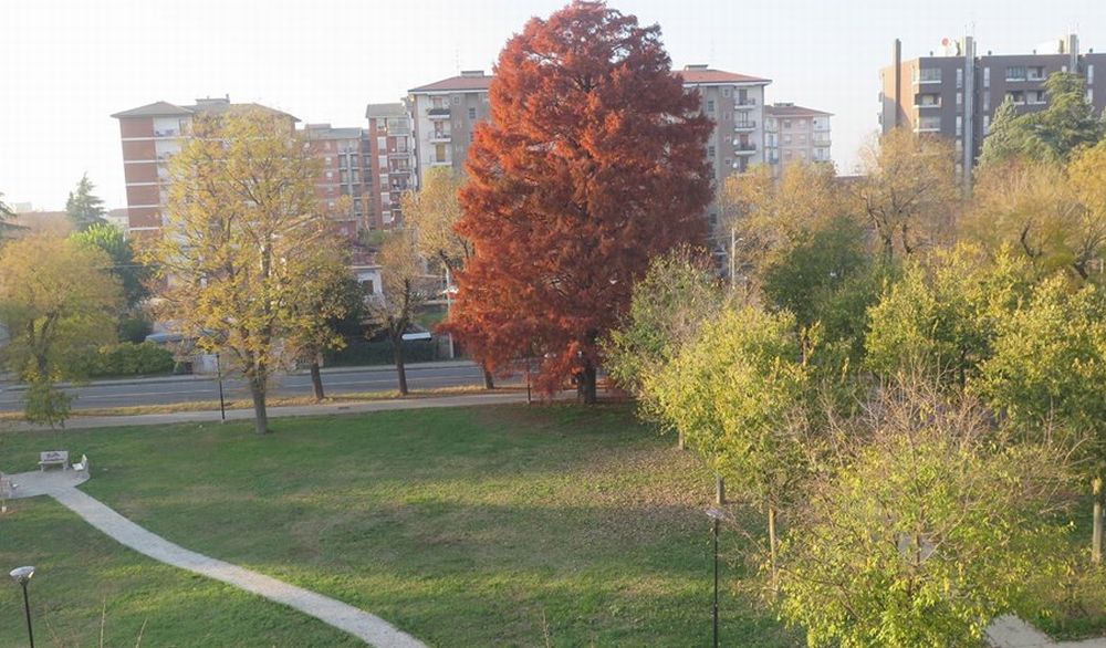 Tortona, zona Oasi, dalla prossima settimana la nuova raccolta dei rifiuti