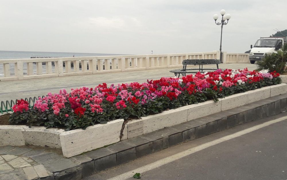 Aromatica, numerose e articolate le iniziative collaterali di Confcommercio