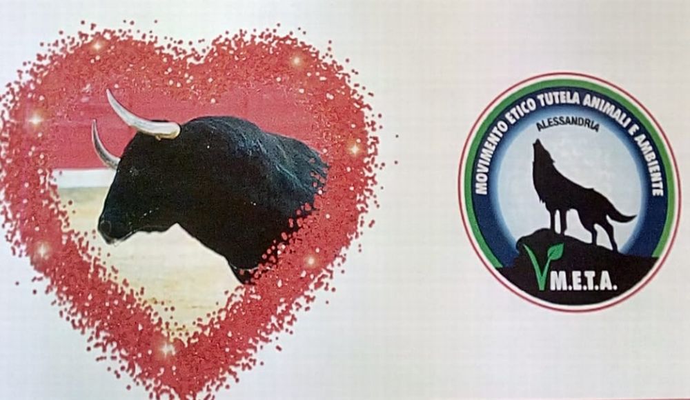 Al centro Commerciale Oasi una manifestazione per dire No ai combattimenti fra animali