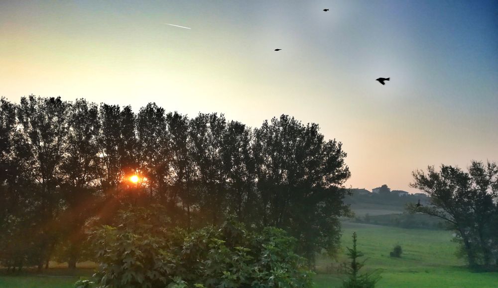 Programmazione degli eventi di febbraio nel Monferrato