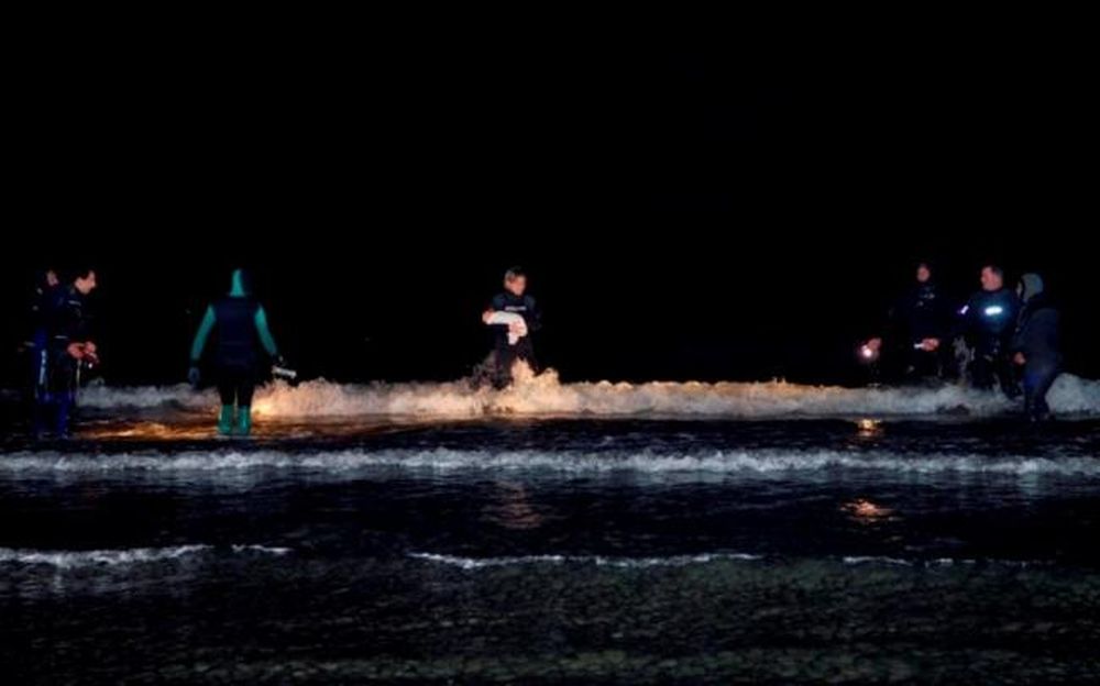 Tre appuntamenti a Diano Marina la vigilia di Natale