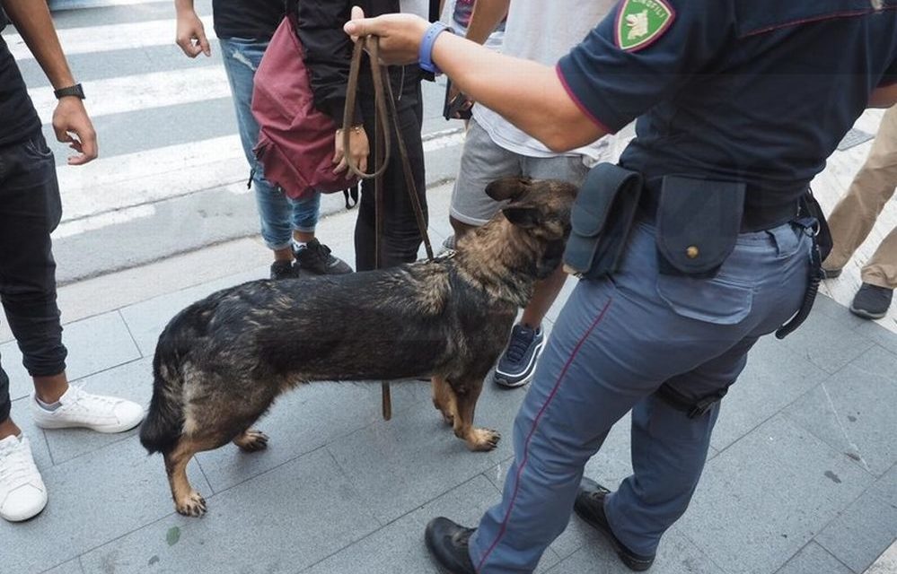 Il cane antidroga della Polizia nelle scuole di Ventimiglia