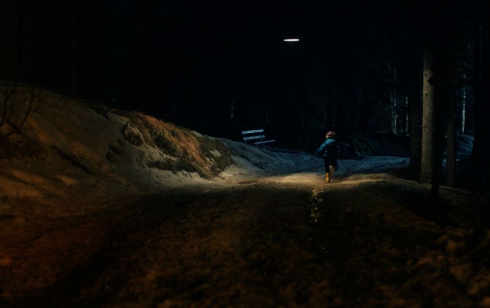 Bimbo di sei anni insegue il cane e si perde nei boschi a Predosa, scattano le ricerche. Preoccupazione alle stelle