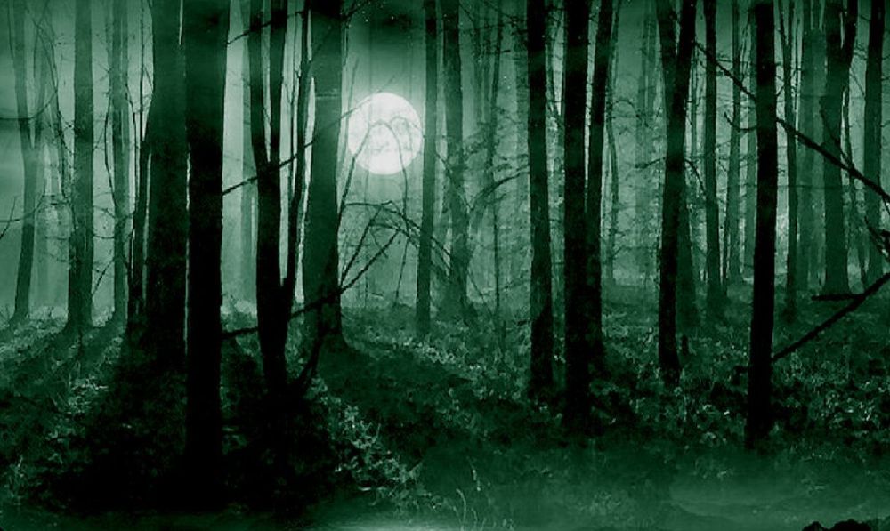 Ritrovato da un uomo il bimbo di 6 anni perso nel bosco a Predosa, spaventato ma sta bene