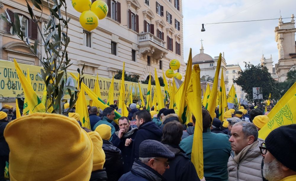 Gli agricoltori scendono in piazza a difesa dell’olio made in Italy